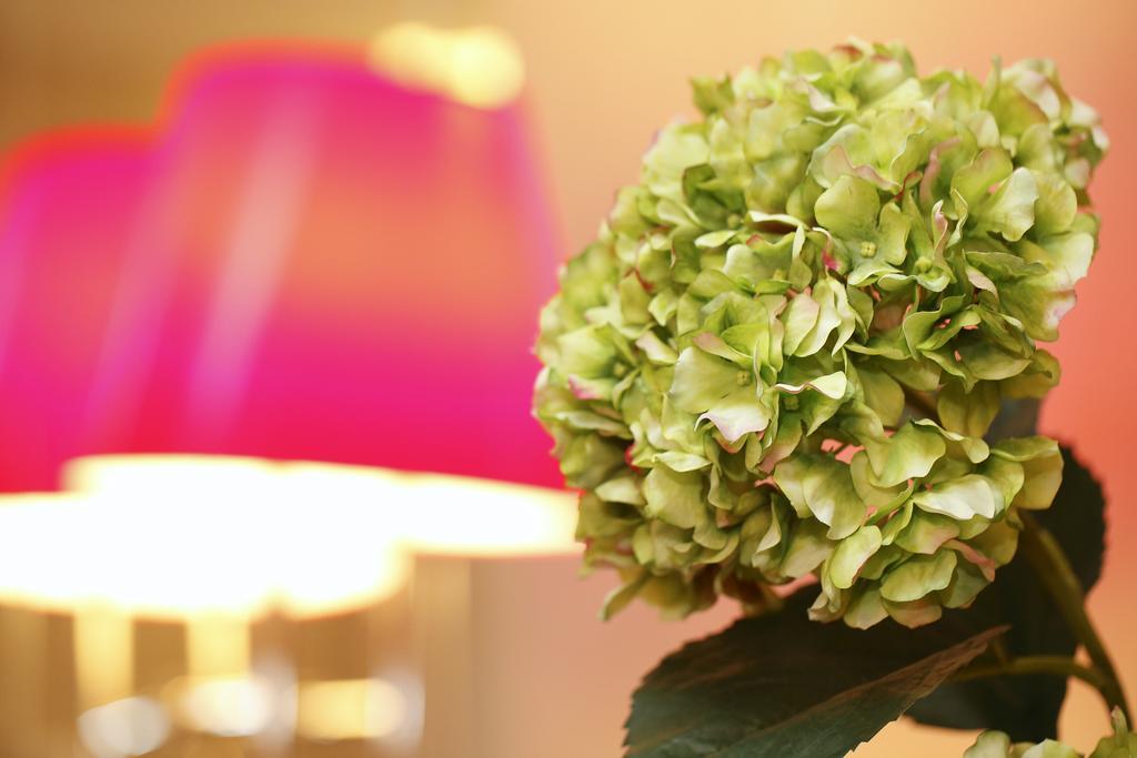 Hotel Tullia&Prisca Relais Rzym Zewnętrze zdjęcie